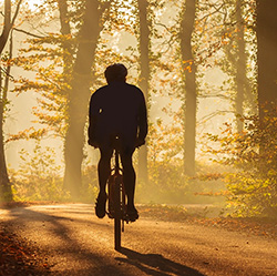 fietsreizen fietsvakantie nederland veluwe   250x250
