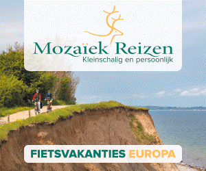 banner mozaiekreizen 300x250
