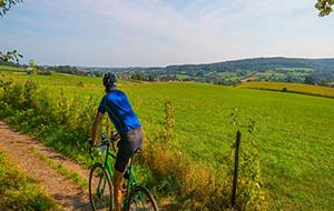 fietsreizen fietsvakantie nederland veluwe   250x250