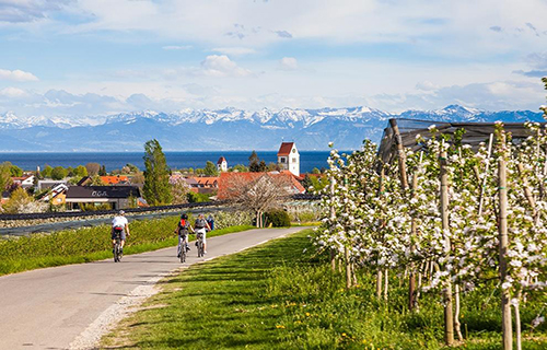 fietsroute rijn bodensee 500x320