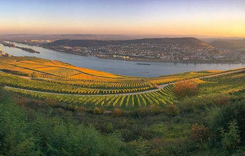 Panoramic view from Niederwalddenkmal to Rheingau, city of Bingen, and to Rheinhessen